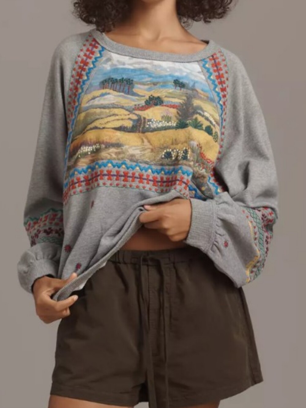 Embroidered Pullover Sweatshirt Country Scene Pilcro Anthropologie 100% Cotton